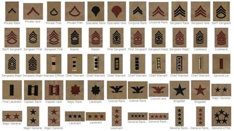 Understanding The US Army Ranks | Enlisted.info