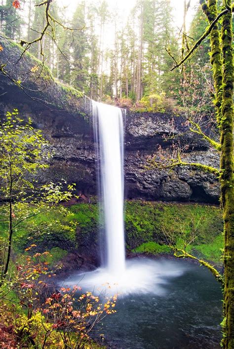 10 Amazing Waterfall Hikes In Oregon | Waterfall hikes, Waterfall ...