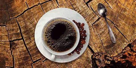 Bitter Coffee: Interesting Facts About Coffee you Didn't Know!