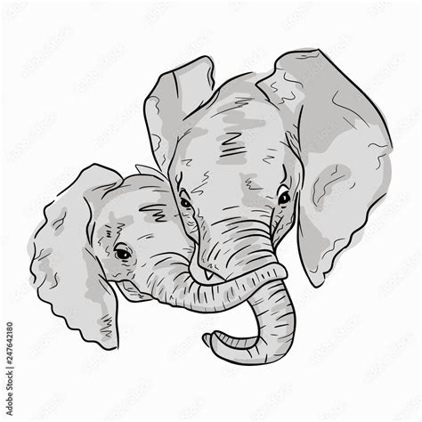 Cute illustration of elephant family on white background. Sketch of ...