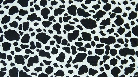 Black And White Cow Print 10 HD Cow Print Wallpapers | HD Wallpapers ...