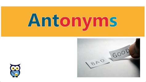 Antonyms - YouTube