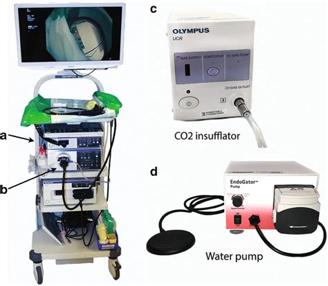 Endoscope Cabinet Olympus | Cabinets Matttroy