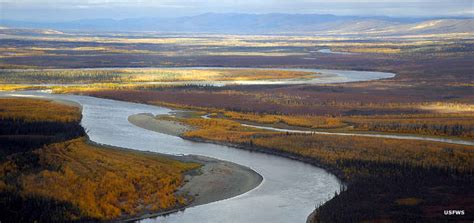 Koyukuk Wild & Scenic River | National Rivers