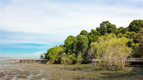 Pulau Ubin - Escape the Fast-paced City Life and Discover the Wonderful ...