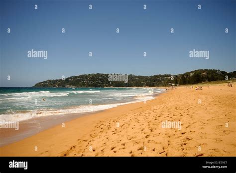 Palm Beach sydney new south wales Australia Stock Photo - Alamy