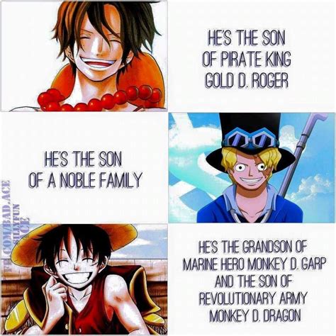 ASL Brothers // One Piece. And they are brothers :) | One Piece ...