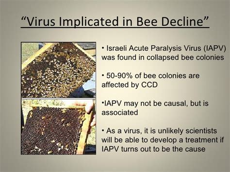 Honey Bee Colony Collapse Disorder (Ccd)