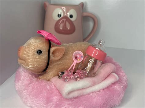 Silicone Teacup Pig Adoption Package - Etsy