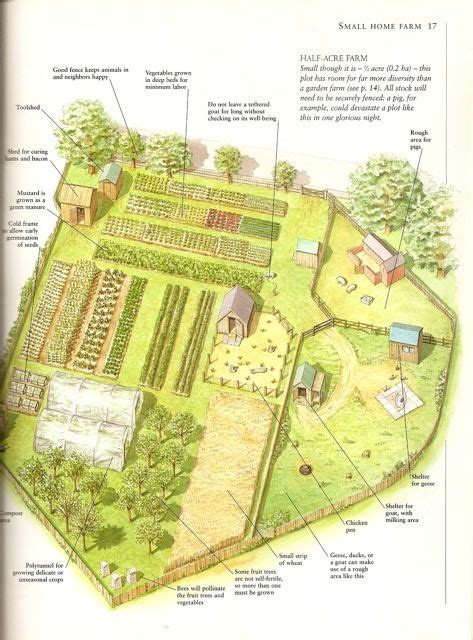 28 Farm Layout Design Ideas to Inspire Your Homestead Dream