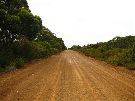 Free photo: Dirt Road - Dirt, Fence, Jungle - Free Download - Jooinn