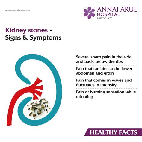 Kidney Stones Signs & Symptoms – Multispeciality Hospitals in Chennai