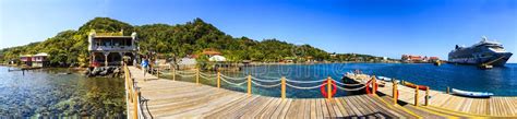 218 Roatan Honduras Snorkeling Stock Photos - Free & Royalty-Free Stock ...