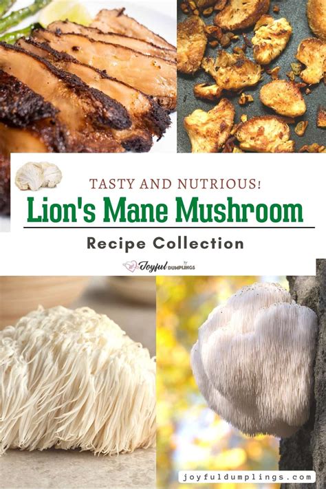 16 Lion's Mane Mushroom Recipes (Super Flavorful!) » Joyful Dumplings ...