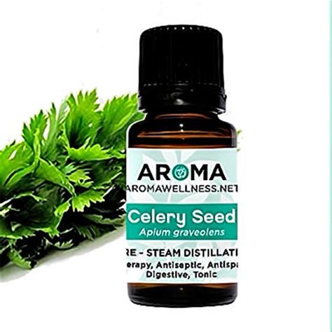 Celery Seed Oil - Aroma Wellness