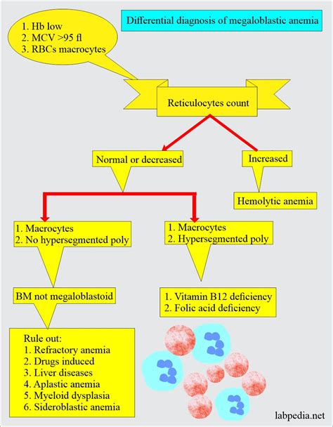 Folate Deficiency