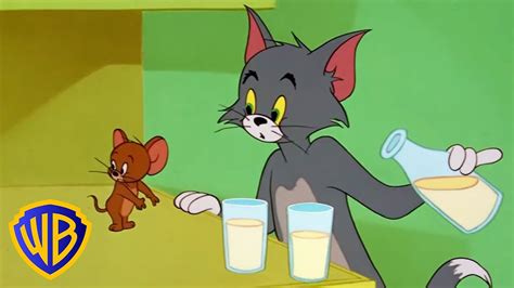 Tom and jerry episodes cartoon - bingerko