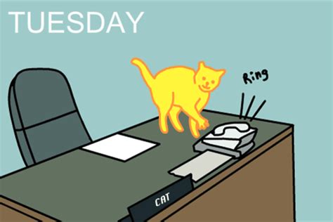 Cartoon Cat Calling Funny Tuesday GIF | GIFDB.com