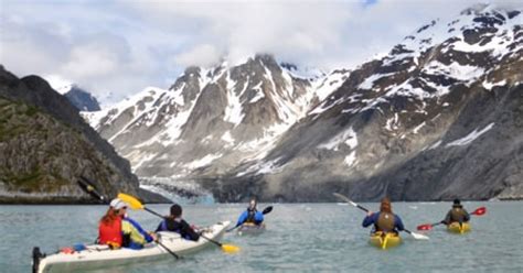 Glacier Bay National Park Sea Kayaking Tours | ALASKA.ORG