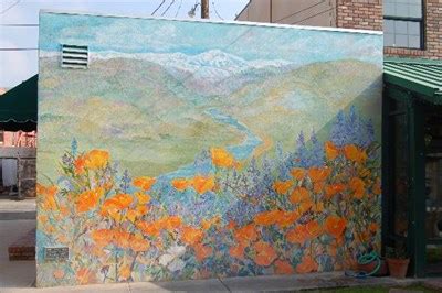 Poppies & Lupine - Exeter California - Murals on Waymarking.com