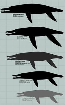 Explore the Best Pliosaurus Art | DeviantArt