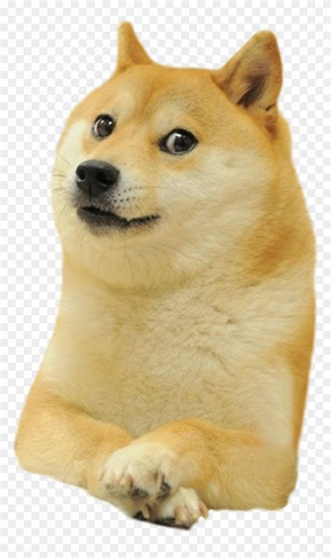 Shiba Deal Inu Doge It Dogecoin Warcraft Clipart - Doge Meme ...