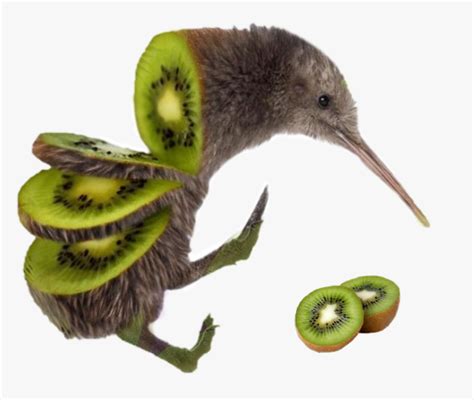 #kiwi #bird #kiwibird #birdkiwi - Sliced Kiwi Bird, HD Png Download ...