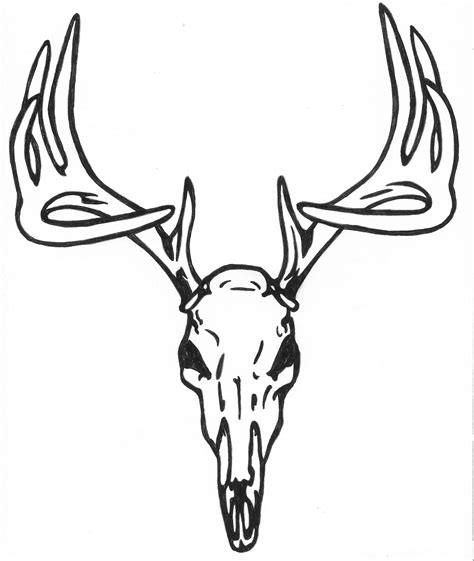 56+ Deer Skull Clipart | ClipartLook