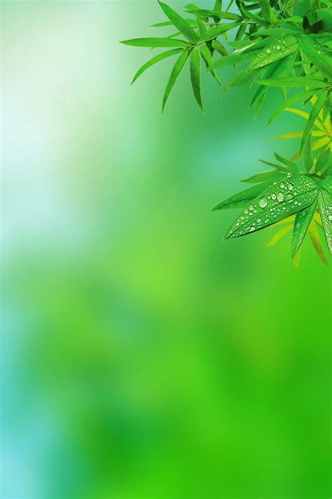 Simple natural green leaf h5 illustration background wallpaper image ...