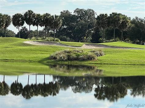 Beautiful View Of Pimlico Executive Golf Course In The Villages ...