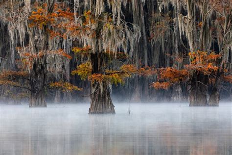 Winners of the 2020 World Nature Photography Awards - The Atlantic