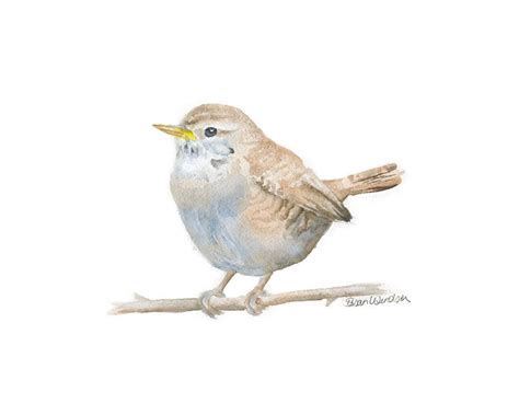 Wren Bird Watercolor Painting Giclee Print Woodland Animal Bird Art ...