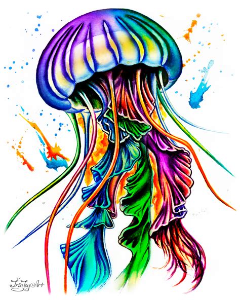 Jellyfish Drawings