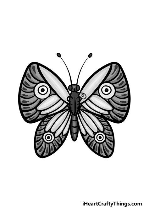 The Best 14 Step Butterfly Drawing Ideas For Kids - trendqreplace