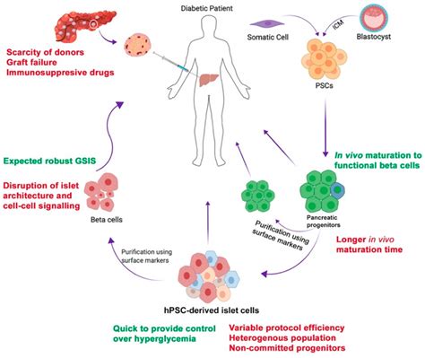 Does Stem Cell Therapy Works? 2020