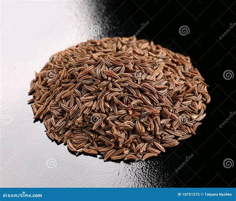 Caraway spice stock image. Image of caraway, closeup - 10751573