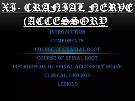 Xi cranial nerve | PPT | Free Download