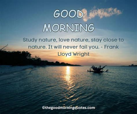 54+ Beautiful Good Morning Nature Quotes - Good Morning Quotes