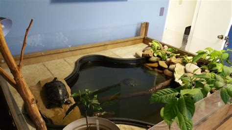 Indoor turtle pond | MonsterFishKeepers.com