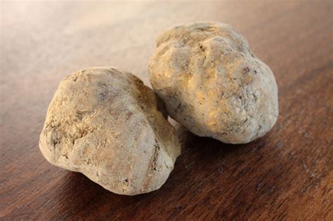 Truffles: The most valuable fungus on the planet