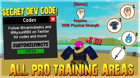 ALL NEW PRO TRAINING AREAS *OWNER SPECIAL FREE CODES!* IN ANIME ...