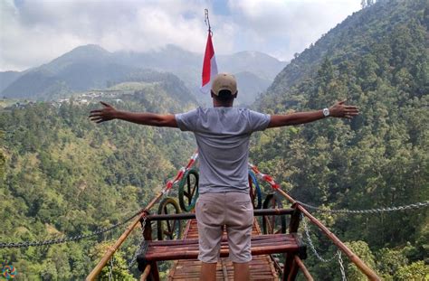 Sudahkah Banyak Destinasi Wisata Hutan Pinus Di Indonesia, Aman Untuk ...