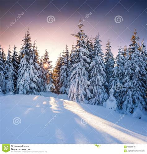 Beautiful Winter Sunrise in the Mountains. Stock Photo - Image of ...