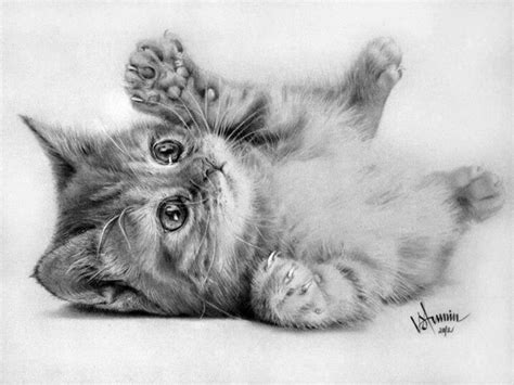 Sketch | Cat drawing, Baby animal drawings, Animal drawings