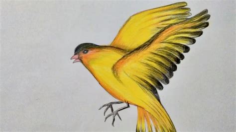 Drawing of Flying Bird - YouTube