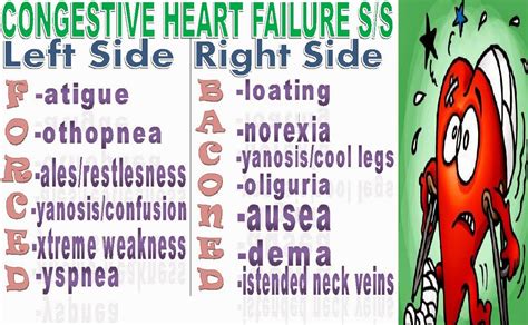 Heart Failure: Left Sided Heart Failure Pathophysiology