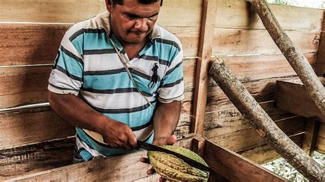 Colombia Adventures | Visiting a Cacao Farm in Colombia