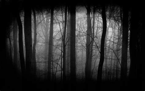 17++ Dark Forest Dark Nature Wallpaper 4k - Basty Wallpaper