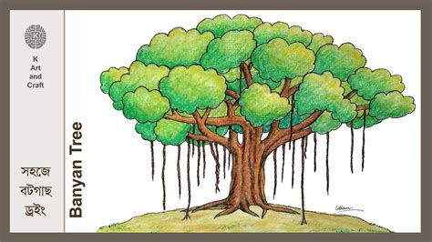 Banyan Tree Sketch Colouring Pages Tree Drawing Tree Sketches Tree ...