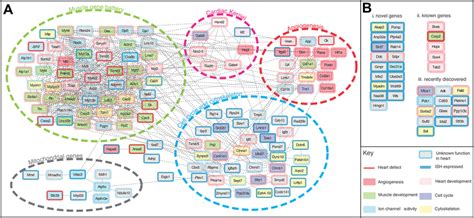 Gene regulatory network construction based on the genes with ...